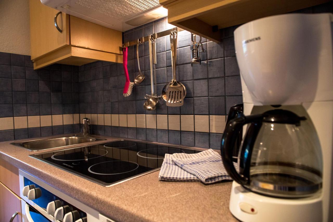 Apartment Muehle - Including Summercard, Sauna, Kaprun's Largest Private Garden With Panoramic View